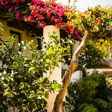 Signum Malfa (Salina)