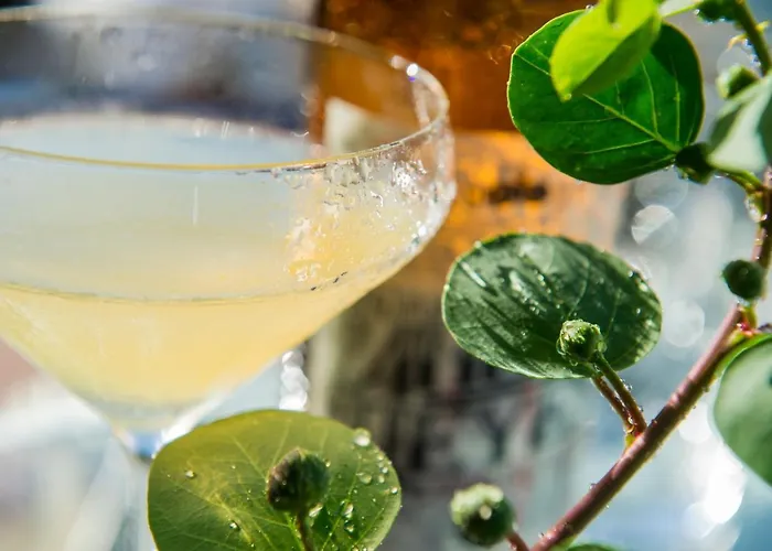 Signum Malfa (Salina)