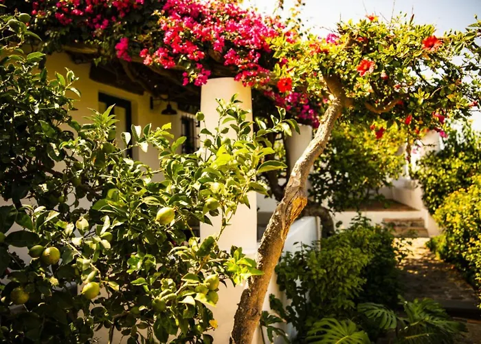 Signum Malfa (Salina)