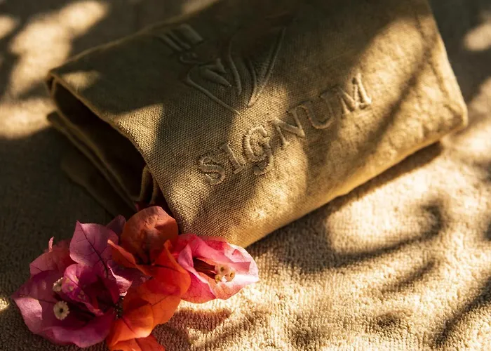 Signum Malfa (Salina)